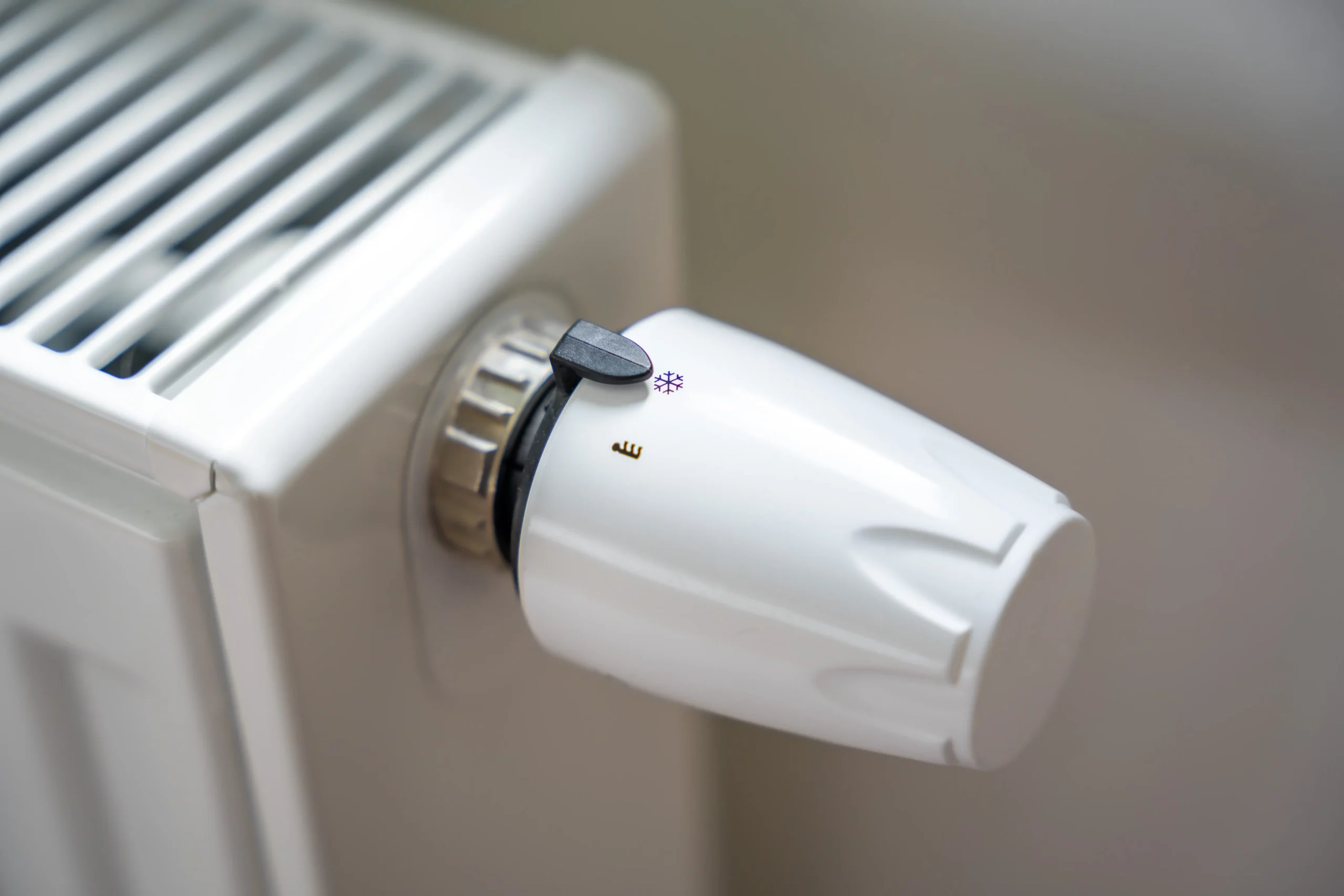 radiateur électrique zoom